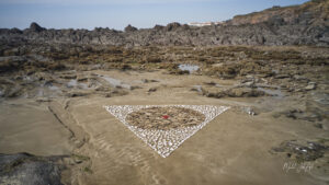 DJI_0347