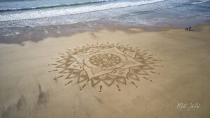 DJI_0428