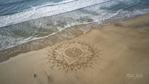 DJI_0450