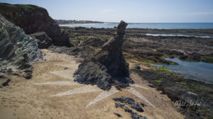 DJI_0710