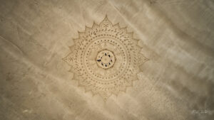 70 Fleurs DJI_0066