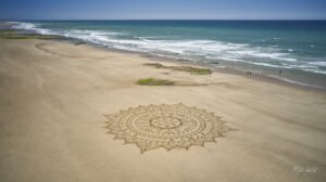 70 Fleurs DJI_0091