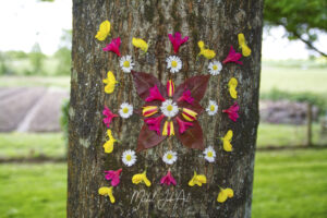 Feuiles et fleurs_DSC7971