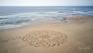 Spring DJI_0097