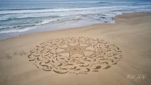 Spring DJI_0106