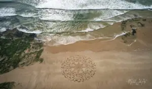 Spring DJI_0118