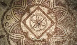 Mosaic DJI_0137