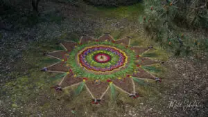 Tre Sun DJI_0276