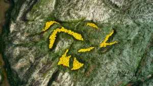 DJI_0998