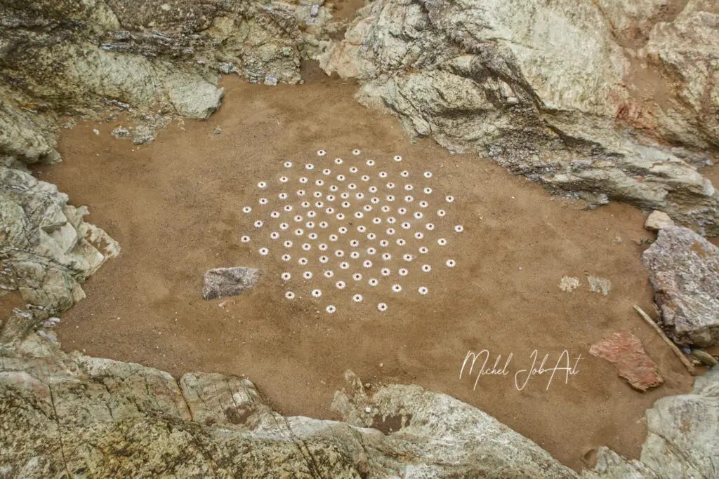 Constellation